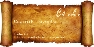 Csernik Levente névjegykártya