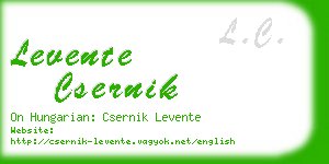 levente csernik business card